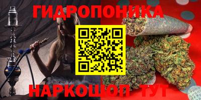 гидропоника Пенза