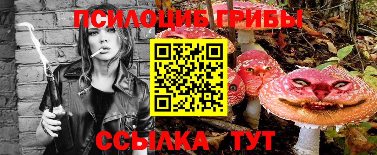 Галлюциногенные грибы GOLDEN TEACHER Троицк